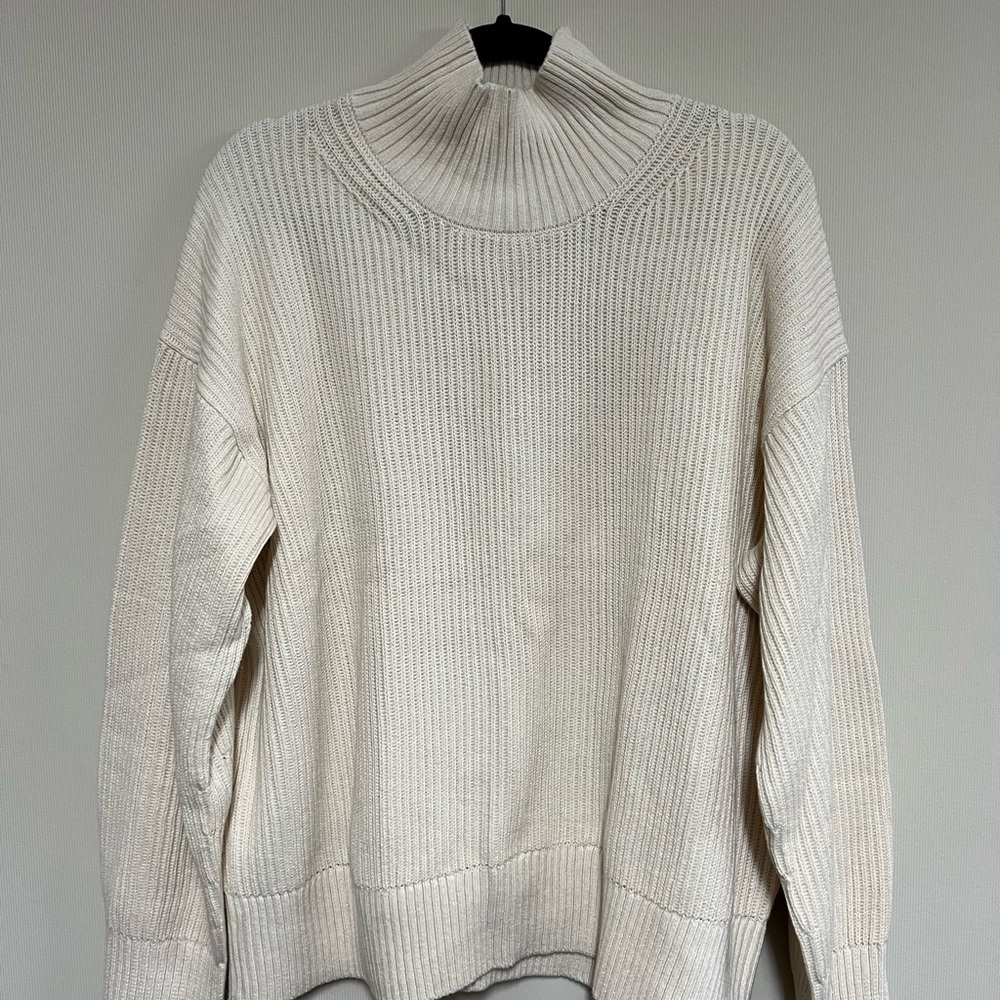 Everlane Organic Cotton Ribbed Turtleneck Sweater